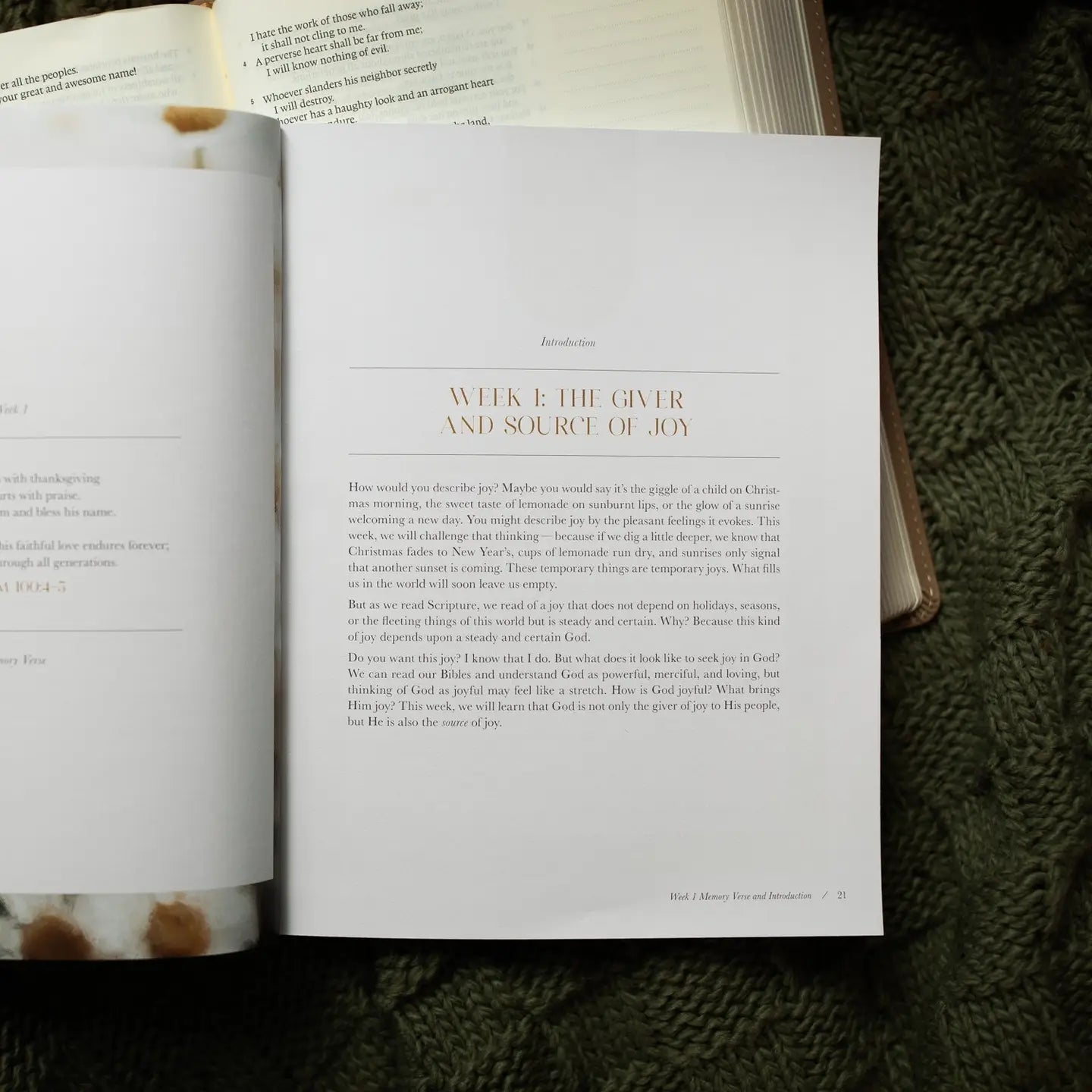 Joy That Endures Bible Study guide by THE DAILY GRACE CO, featuring a book cover with inspiring religious design.