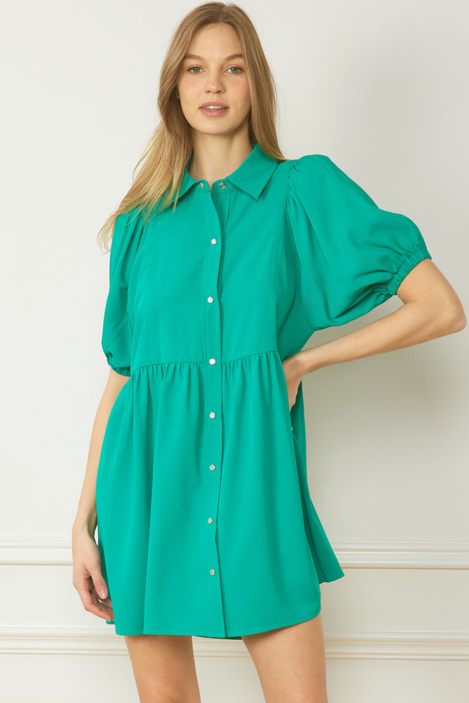 Eloise Collared Short Sleeve Button Up Dress - Be You Boutique