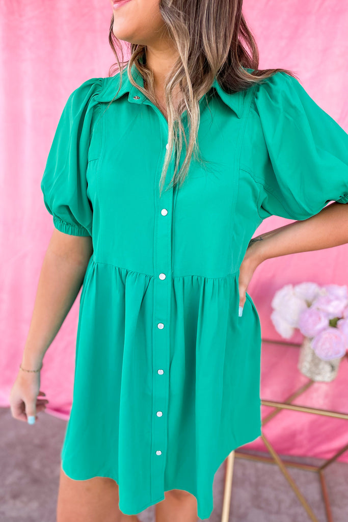 Eloise Collared Short Sleeve Button Up Dress - Be You Boutique