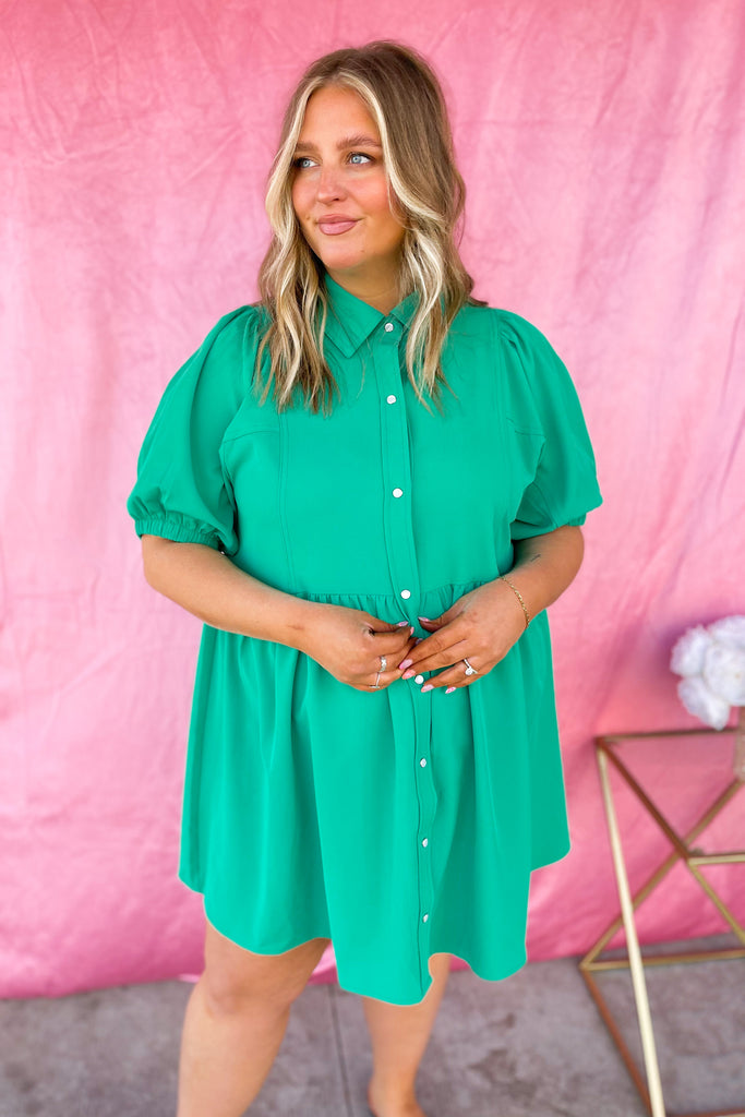 Eloise Collared Short Sleeve Button Up Dress - Be You Boutique