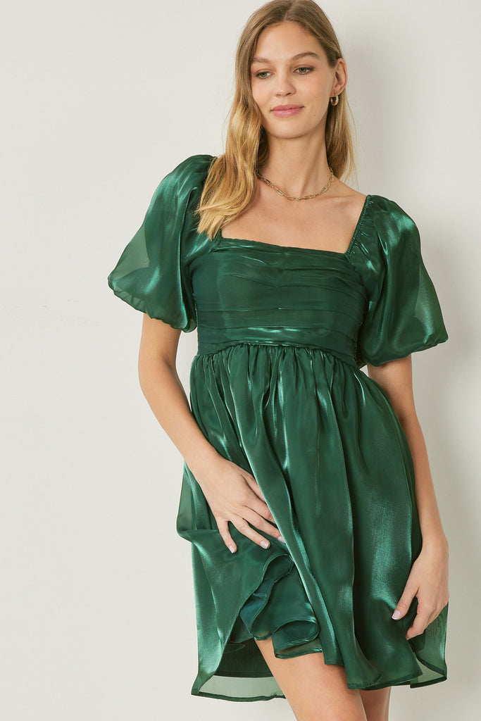 Shayna Organza Bubble Sleeve Mini Dress - Be You Boutique